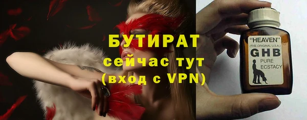 шишки Мегион
