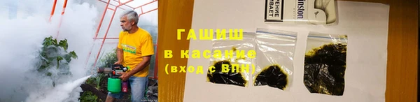 шишки Мегион