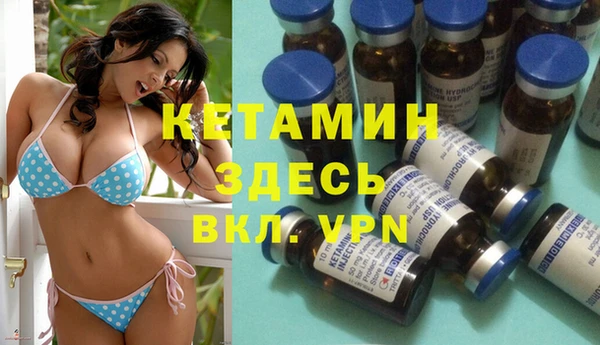 шишки Мегион