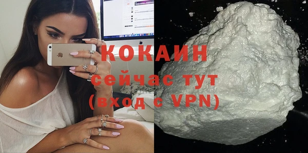 первитин Михайлов