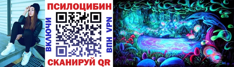 где купить наркоту Опочка KRAKEN зеркало Галлюциногенные грибы Psilocybine cubensis